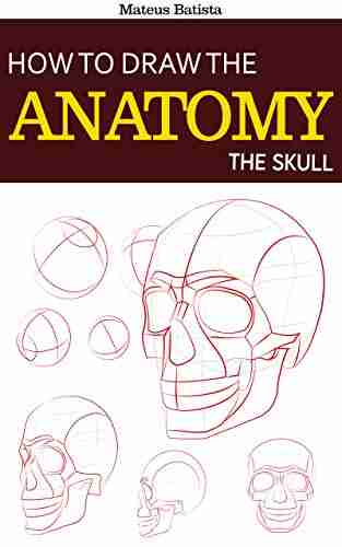 How To Draw The Anatomy: The Skull