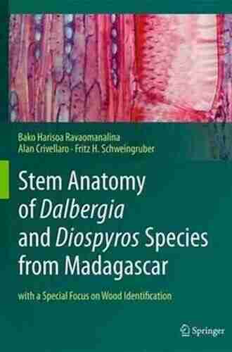 Stem Anatomy of Dalbergia and Diospyros Species from Madagascar: with a Special Focus on Wood Identification