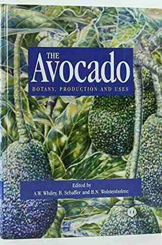 The Avocado: Botany Production And Uses