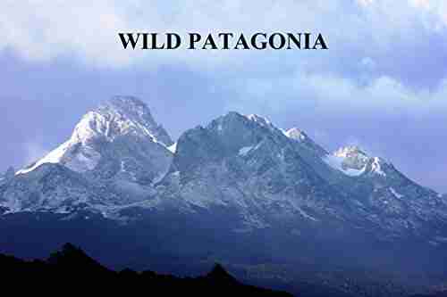 Wild Patagonia Derek Miller