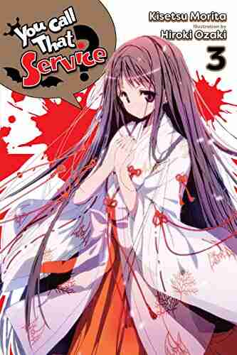 You Call That Service? Vol 3 (light novel) (You Call That Service? (light novel))